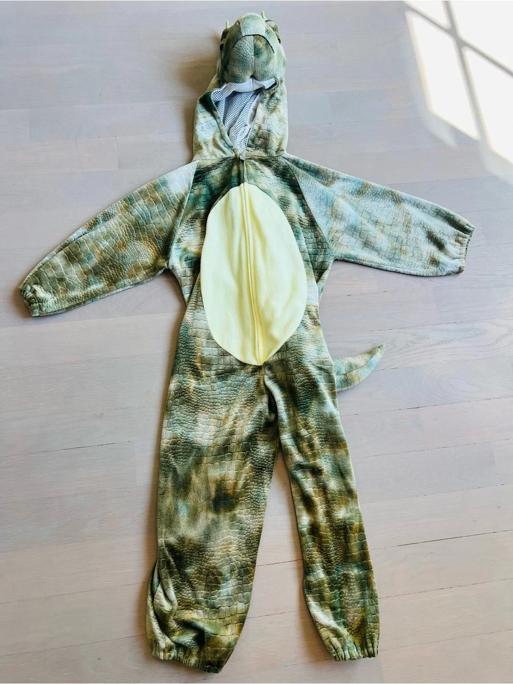 Dino kids costume